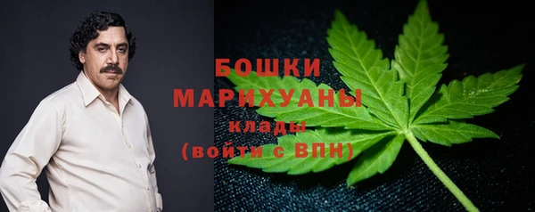 прущие грибы Покачи