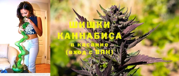 прущие грибы Покачи