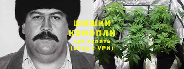 прущие грибы Покачи