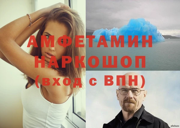 прущие грибы Покачи